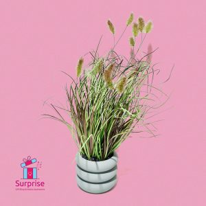 ⁦زرع صناعي في بوت خزف⁩ - الصورة ⁦2⁩