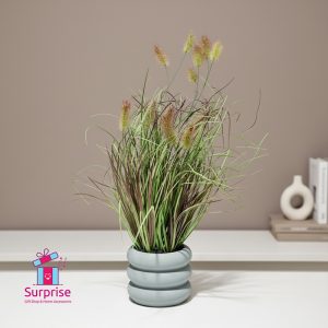 ⁦زرع صناعي في بوت خزف⁩ - الصورة ⁦1⁩