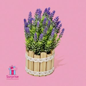 ⁦زرع صناعي في بوت خشب⁩ - الصورة ⁦2⁩