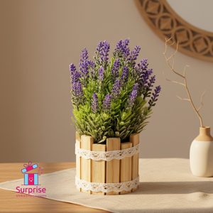 ⁦زرع صناعي في بوت خشب⁩ - الصورة ⁦1⁩