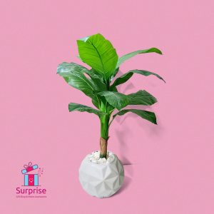 ⁦شجرة زينة صناعية مقاس 110 سم في بوت⁩ - الصورة ⁦2⁩