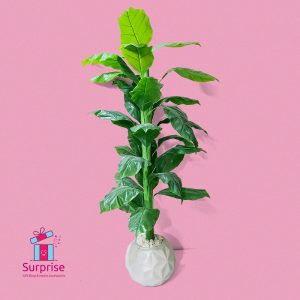 ⁦شجرة زينة صناعية مقاس 160 سم في بوت⁩ - الصورة ⁦2⁩