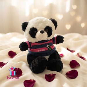 ⁦دبدوب باندا فرو مرتدي تيشيرت 27 سم⁩ - الصورة ⁦1⁩