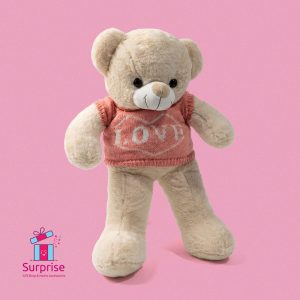 Plush Teddy Bear Wearing a T-Shirt 50 cm - Image 2