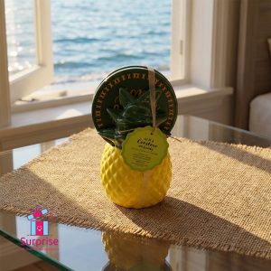 Pineapple Coaster Caddy Set - Image 1