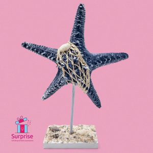 ⁦ديكور أنيق حامل على شكل نجمة بحر⁩ - الصورة ⁦2⁩