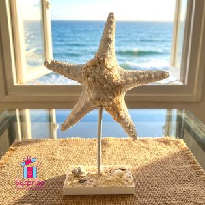 ⁦ديكور أنيق حامل على شكل نجمة بحر⁩ - الصورة ⁦1⁩