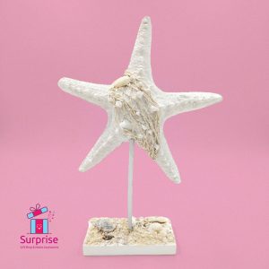 ⁦ديكور أنيق حامل على شكل نجمة بحر⁩ - الصورة ⁦2⁩