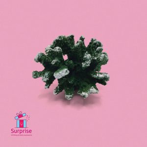 ⁦ديكور أنيق على شكل شعاب مرجانية صناعية⁩ - الصورة ⁦2⁩