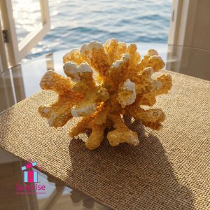 ⁦ديكور أنيق على شكل شعاب مرجانية صناعية⁩ - الصورة ⁦1⁩