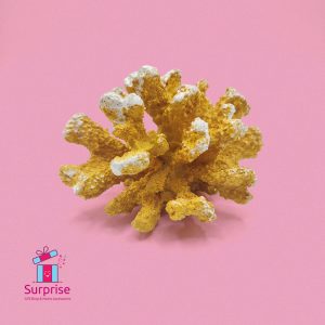 ⁦ديكور أنيق على شكل شعاب مرجانية صناعية⁩ - الصورة ⁦2⁩