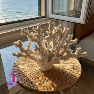 Decorative White Coral Specimen - Image 1