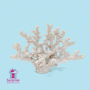 Decorative White Coral Specimen - Image 2