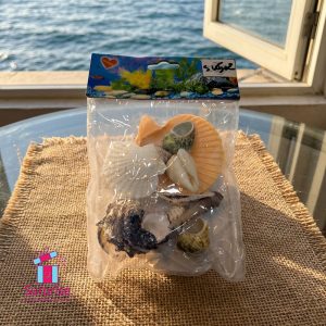 Assorted Natural Seashells Decor - Image 1