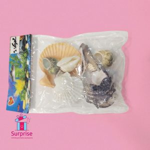 Assorted Natural Seashells Decor - Image 2