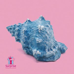 Decorative Sea Shell - Image 2