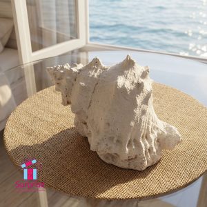 Decorative Sea Shell - Image 1