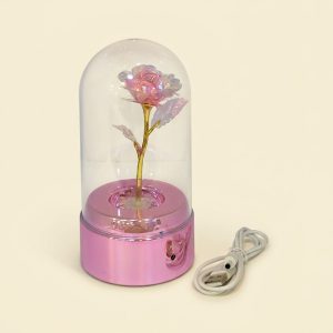 Enchanted Rotating LED Rose Dome - Image 2