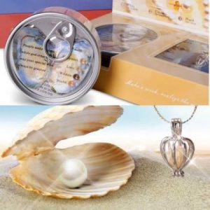 Wish Pearl Necklace Kit - Image 2